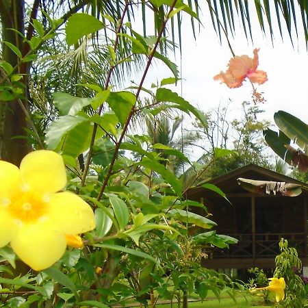 J&H Garden Cabinas Bocas del Toro Exterior foto